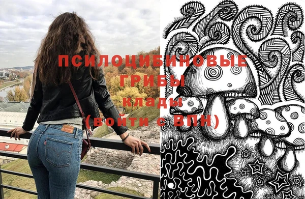 a pvp Заводоуковск