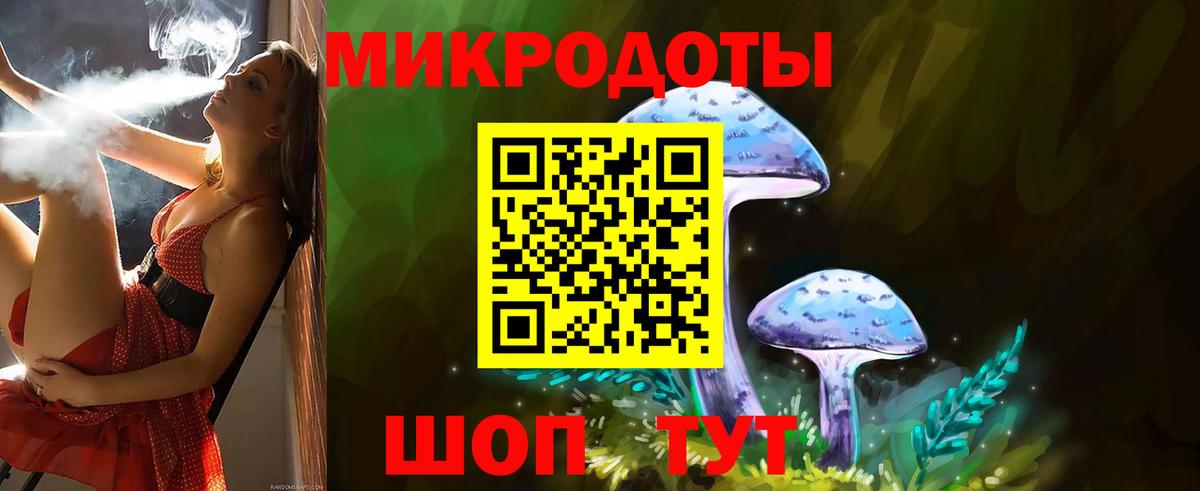 Протвино  Галлюциногенные грибы Psilocybine cubensis  Вход с VPN 