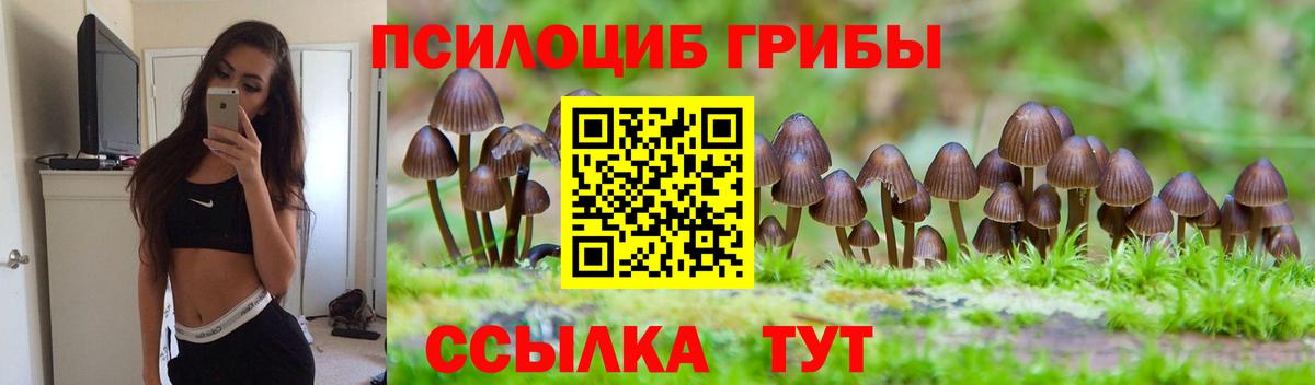 Псилоцибиновые грибы мухоморы Протвино
